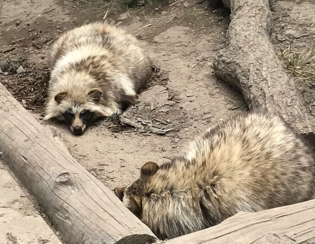 f:id:mzp:20170620234647p:plain f:id:mzp:20170620234647p:plain