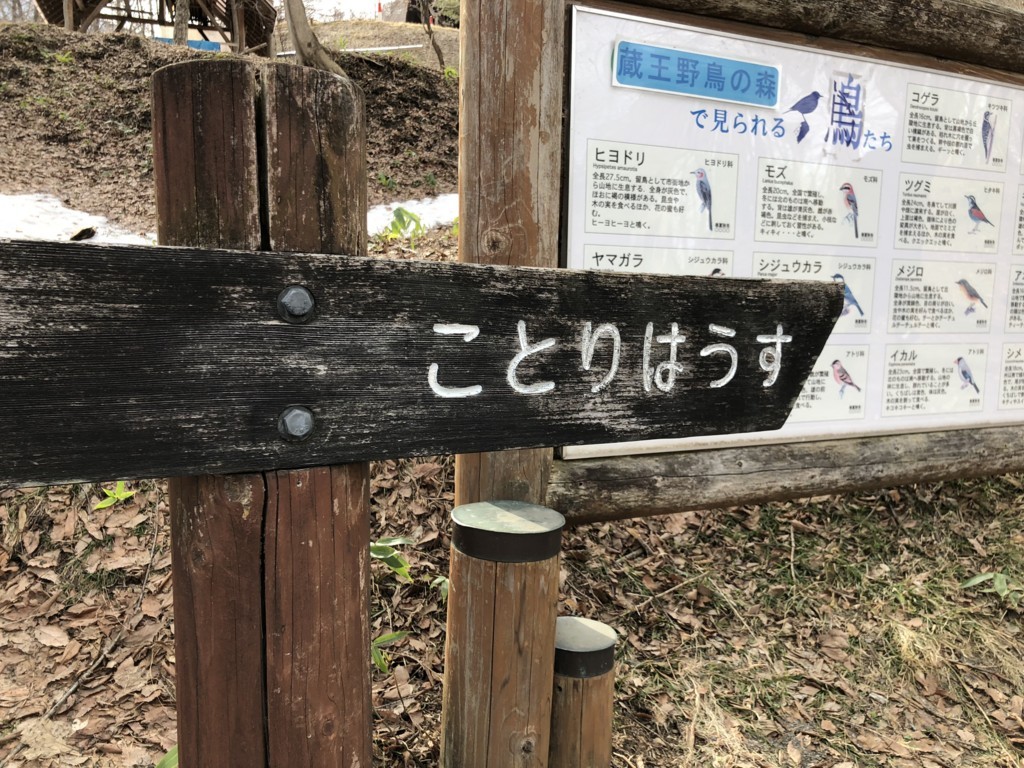 f:id:mzp:20180318150848j:plain