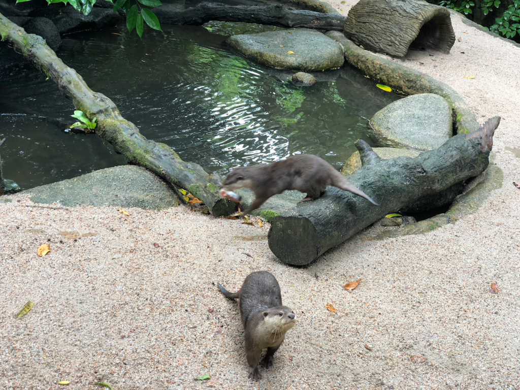 f:id:mzp:20180730222953p:plain f:id:mzp:20180730222953p:plain