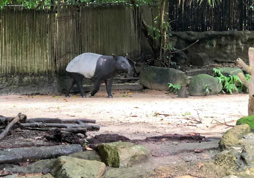 f:id:mzp:20180730223017p:plain f:id:mzp:20180730223017p:plain