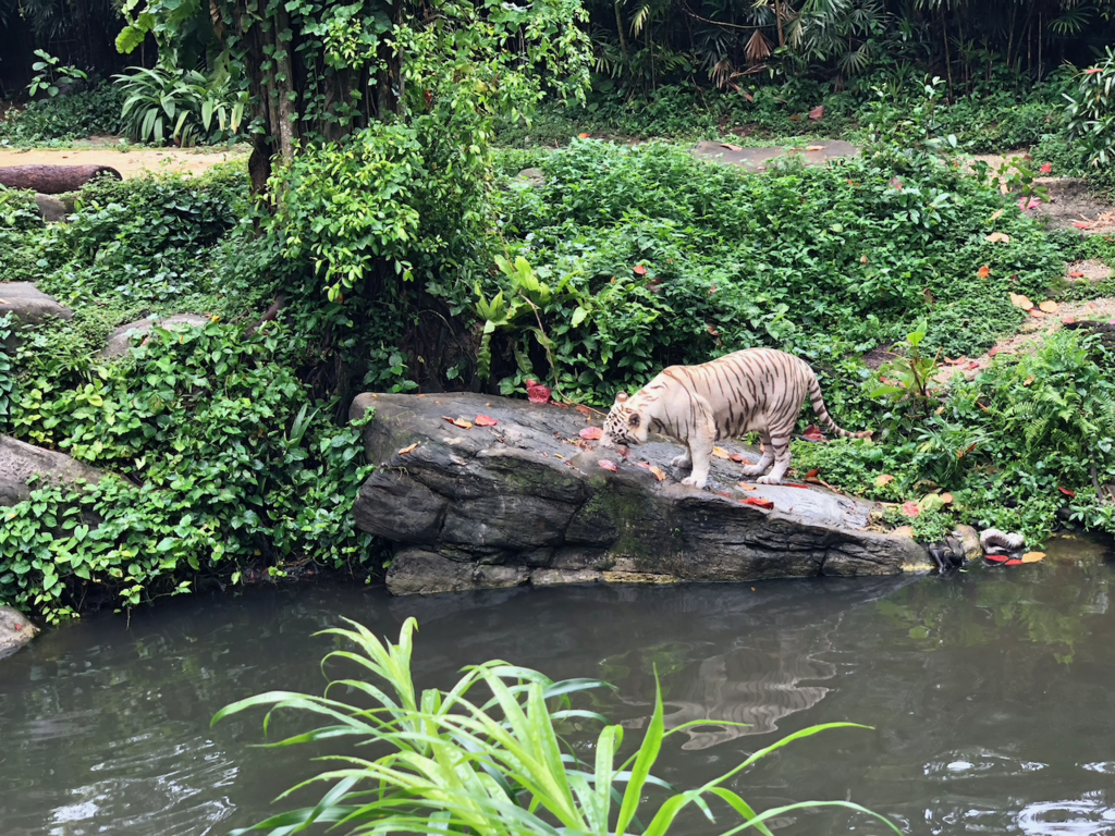 f:id:mzp:20180730223119p:plain f:id:mzp:20180730223119p:plain