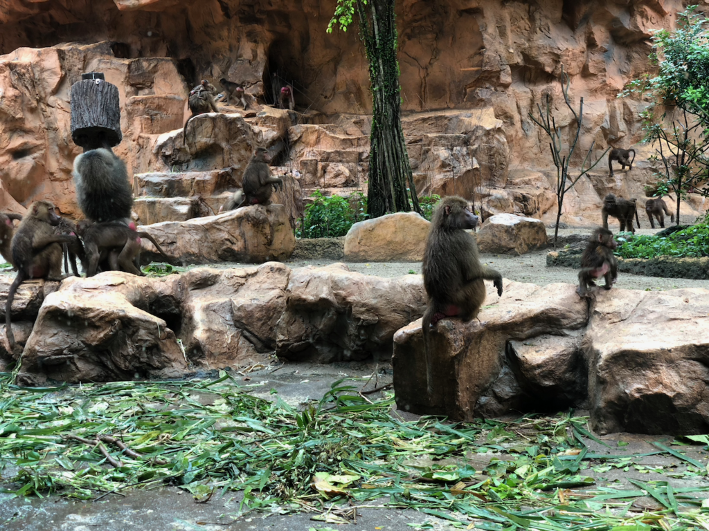 f:id:mzp:20180730223153p:plain f:id:mzp:20180730223153p:plain