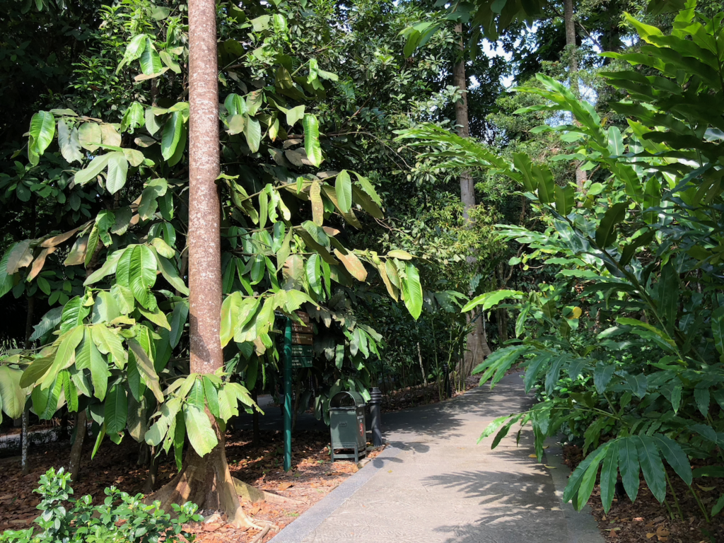 f:id:mzp:20180730224128p:plain f:id:mzp:20180730224128p:plain