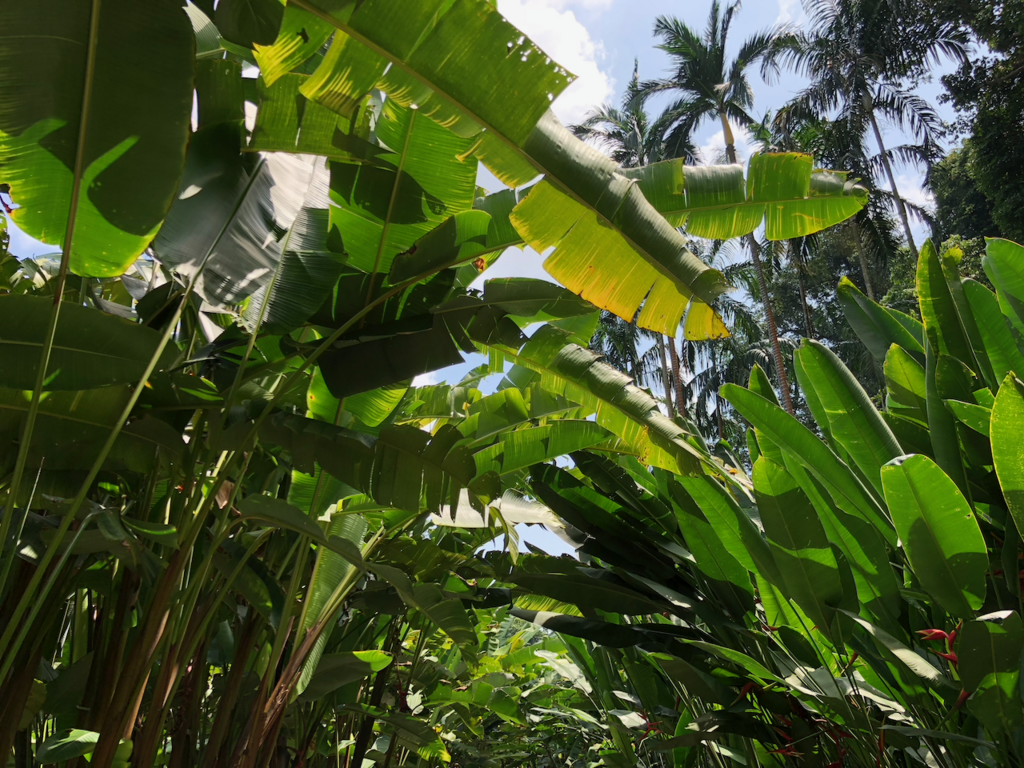 f:id:mzp:20180730224136p:plain f:id:mzp:20180730224136p:plain