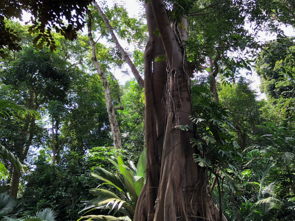 f:id:mzp:20180730224145p:plain f:id:mzp:20180730224145p:plain