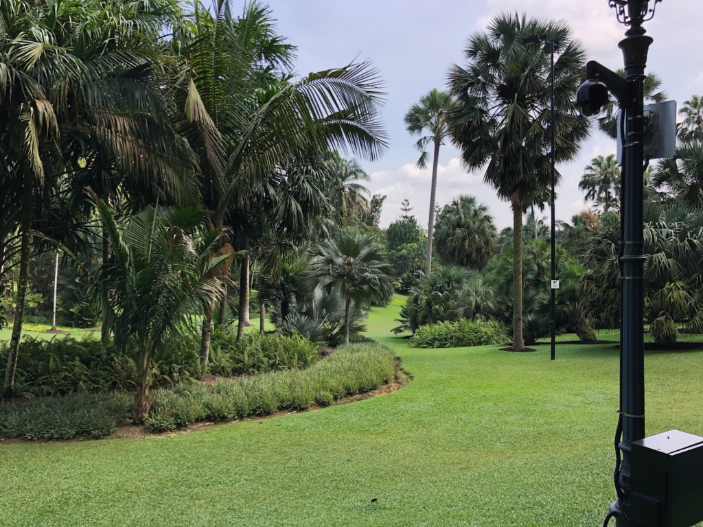 f:id:mzp:20180730224147p:plain f:id:mzp:20180730224147p:plain