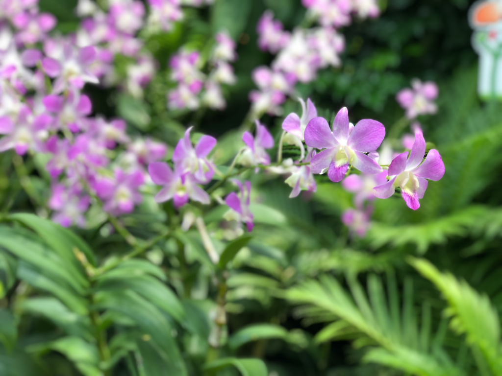 f:id:mzp:20180730224154p:plain f:id:mzp:20180730224154p:plain