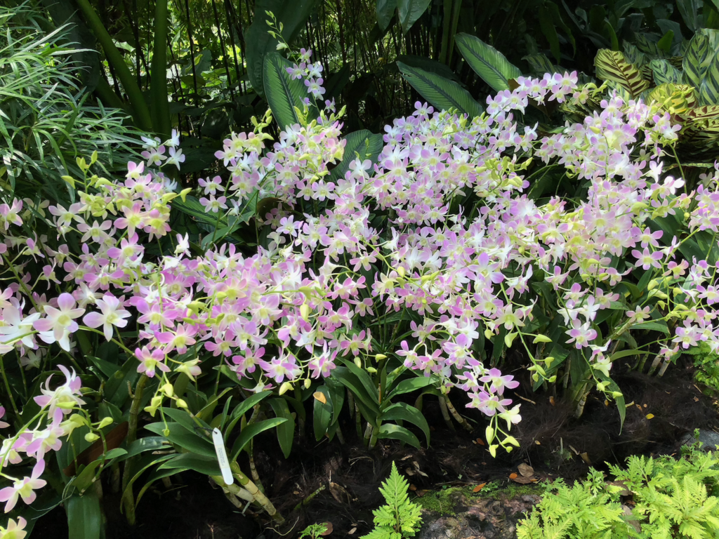 f:id:mzp:20180730224209p:plain f:id:mzp:20180730224209p:plain