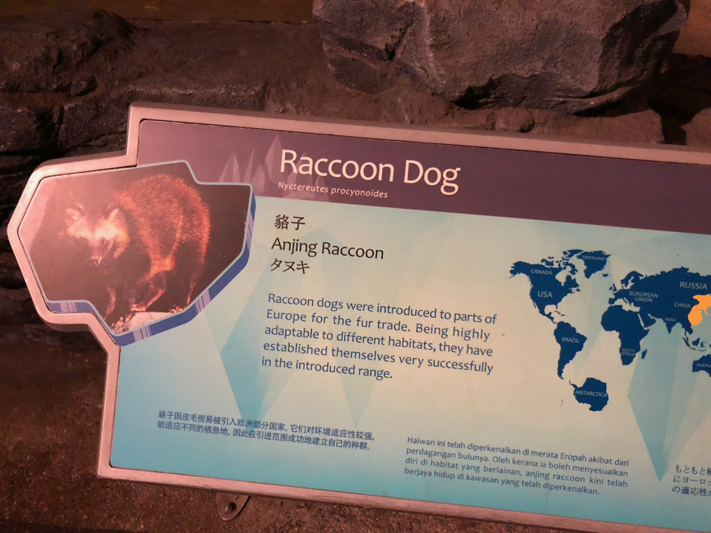 f:id:mzp:20180730224601p:plain f:id:mzp:20180730224601p:plain