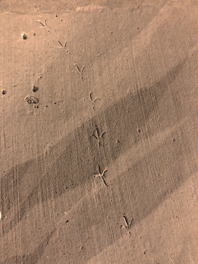 f:id:mzp:20180730231202p:plain f:id:mzp:20180730231202p:plain