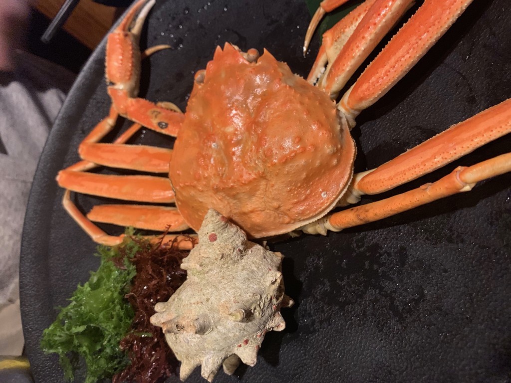 f:id:mzp:20181215184829j:plain