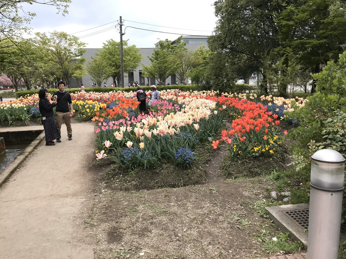 f:id:mzp:20190429141333j:plain