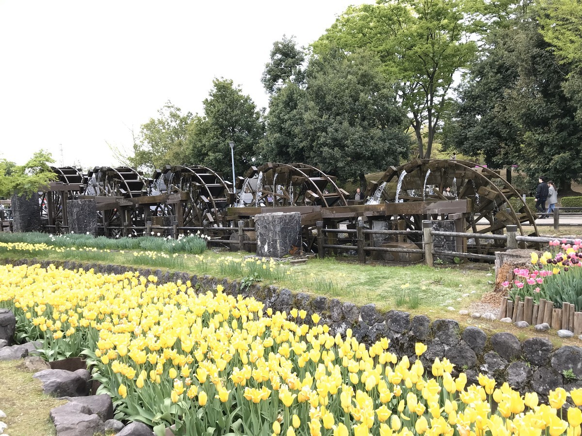 f:id:mzp:20190429143726j:plain