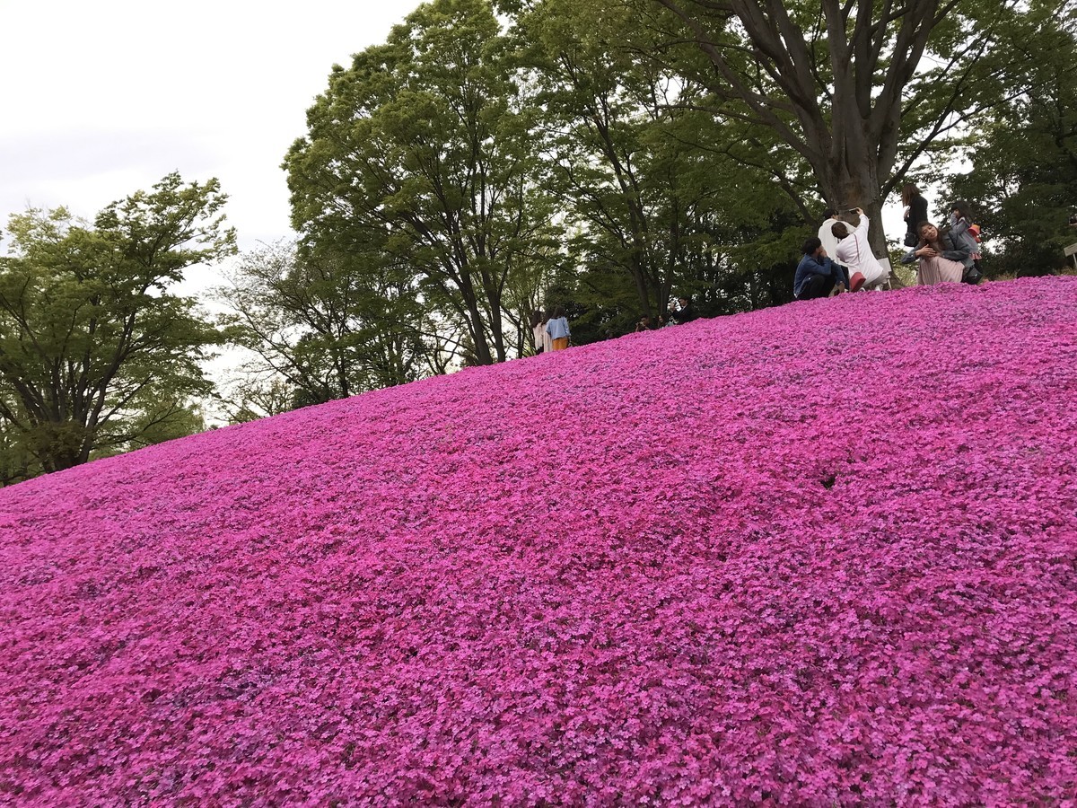 f:id:mzp:20190429144424j:plain