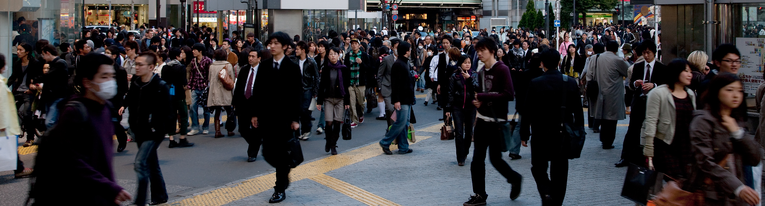 f:id:n-291:20090319235114j:image