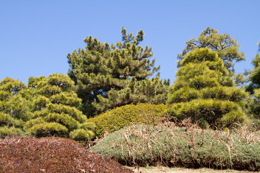 f:id:n-291:20100314071639j:image