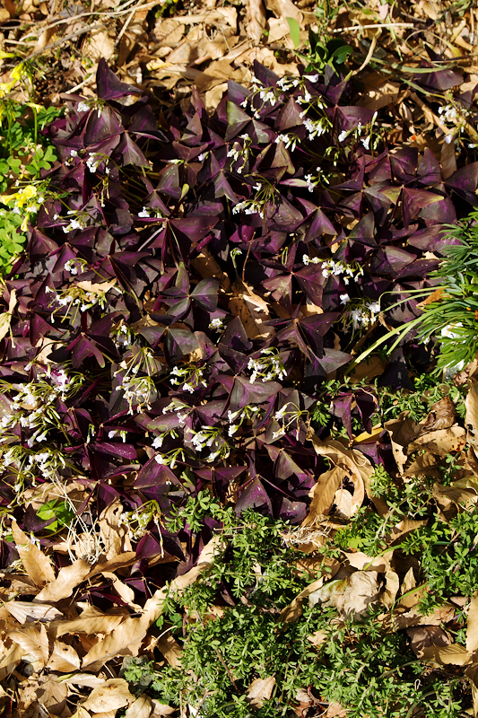 f:id:n-291:20120211134533j:image