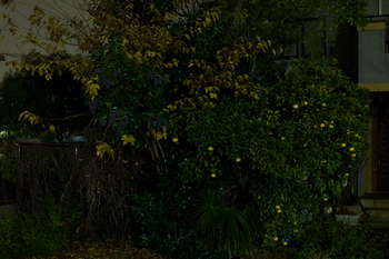 f:id:n-291:20120520235813j:image f:id:n-291:20120520235813j:image