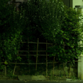 Invisible Moments