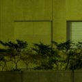 Invisible Moments