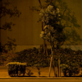 Invisible Moments