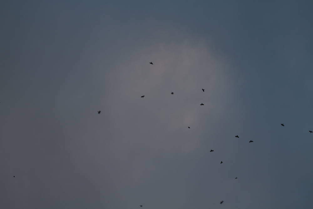 f:id:n-291:20140419052220j:image