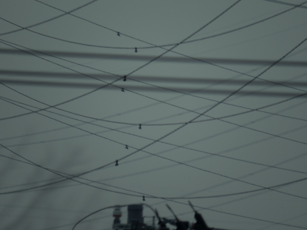 f:id:n-291:20160210163521j:image