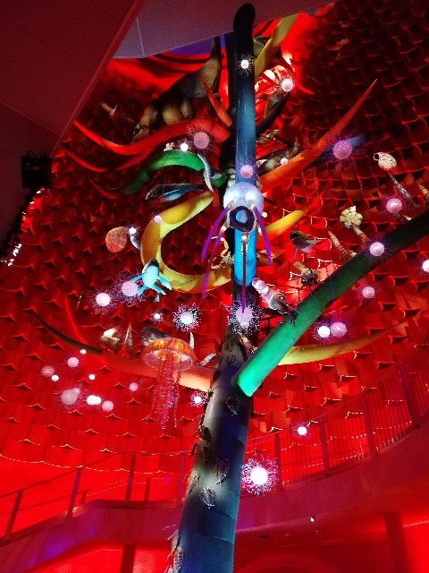 f:id:n-723-h:20190218165214j:image