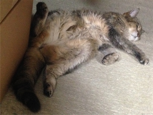 f:id:n-a-creation:20170930211510j:image