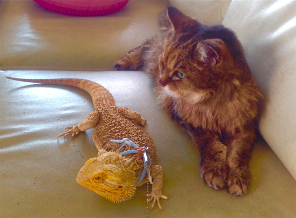 f:id:n-a-creation:20190902164430j:image