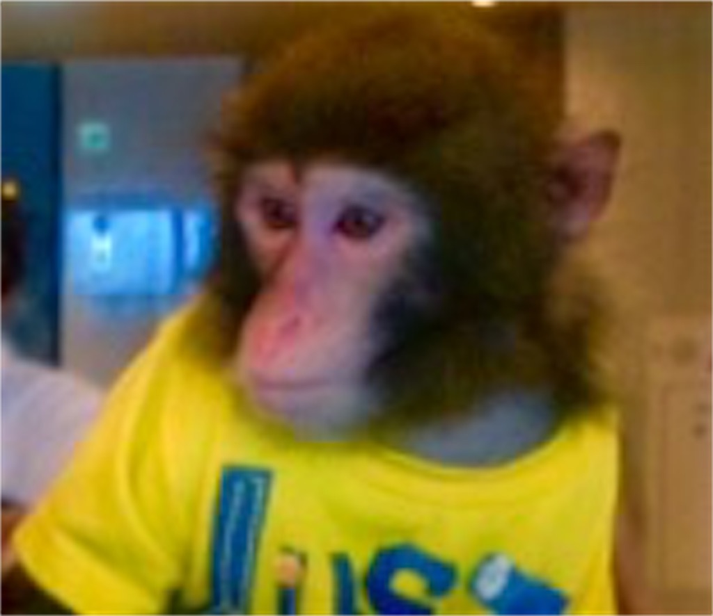 f:id:n-a-creation:20190902164540j:image