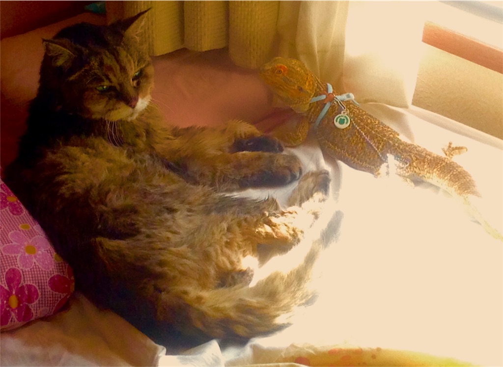 f:id:n-a-creation:20190902164928j:image