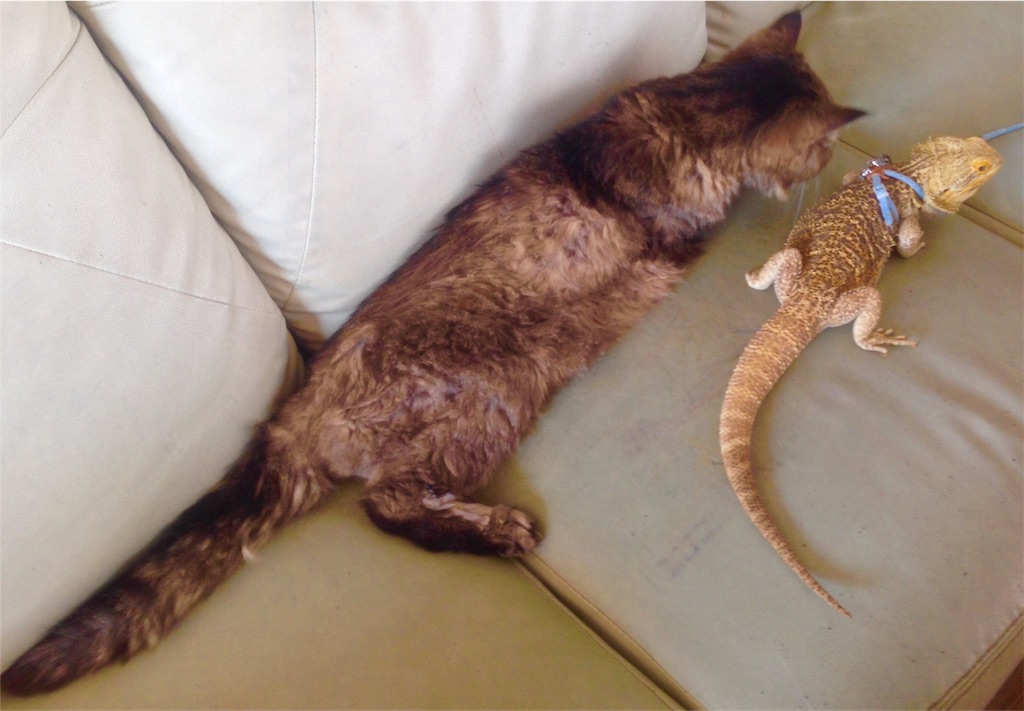 f:id:n-a-creation:20190902165018j:image