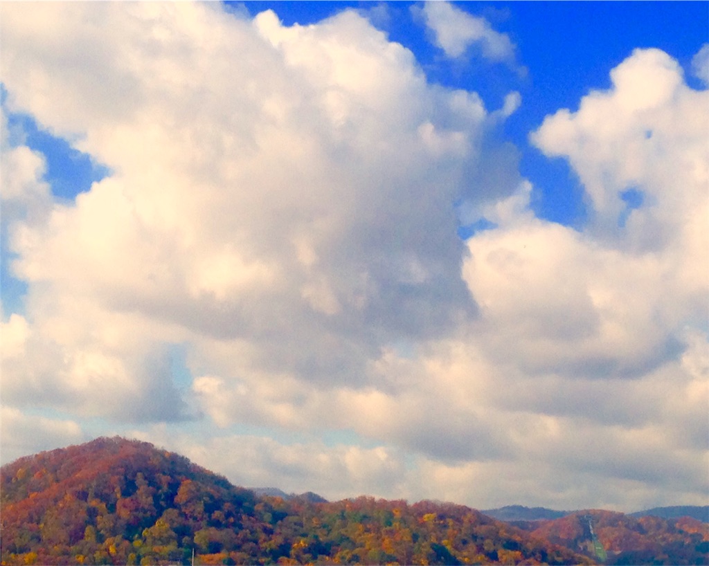 f:id:n-a-creation:20201031152549j:image f:id:n-a-creation:20201031152549j:image
