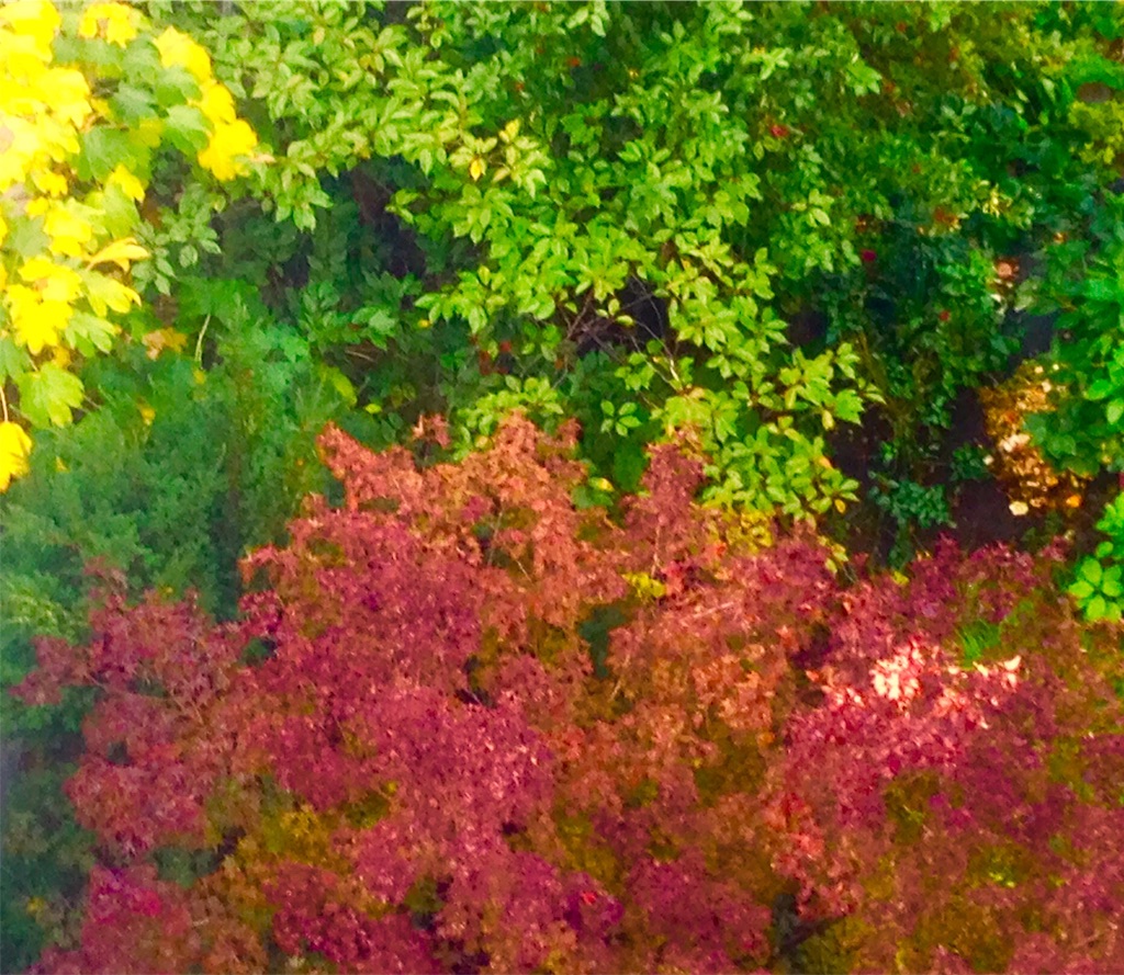 f:id:n-a-creation:20201031152609j:plain f:id:n-a-creation:20201031152609j:plain