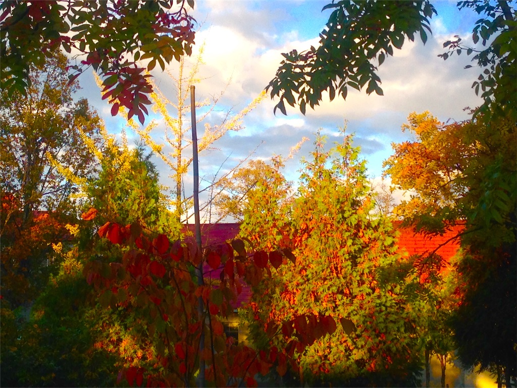 f:id:n-a-creation:20201031155042j:image f:id:n-a-creation:20201031155042j:image