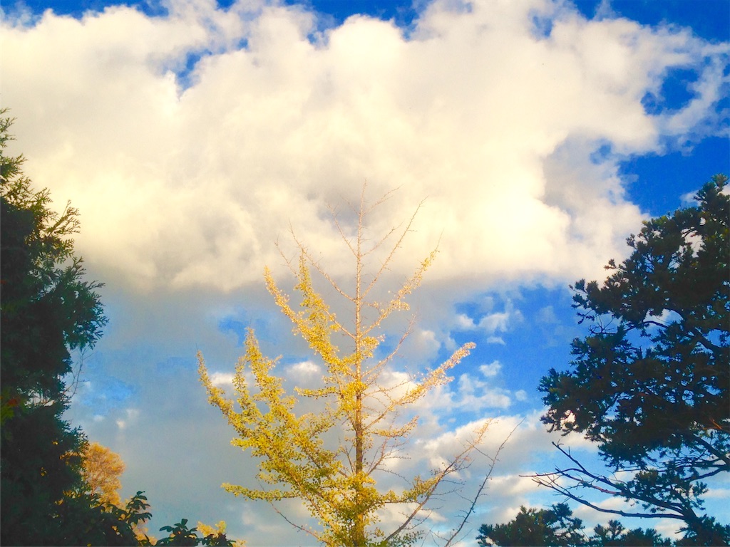 f:id:n-a-creation:20201031155046j:image f:id:n-a-creation:20201031155046j:image