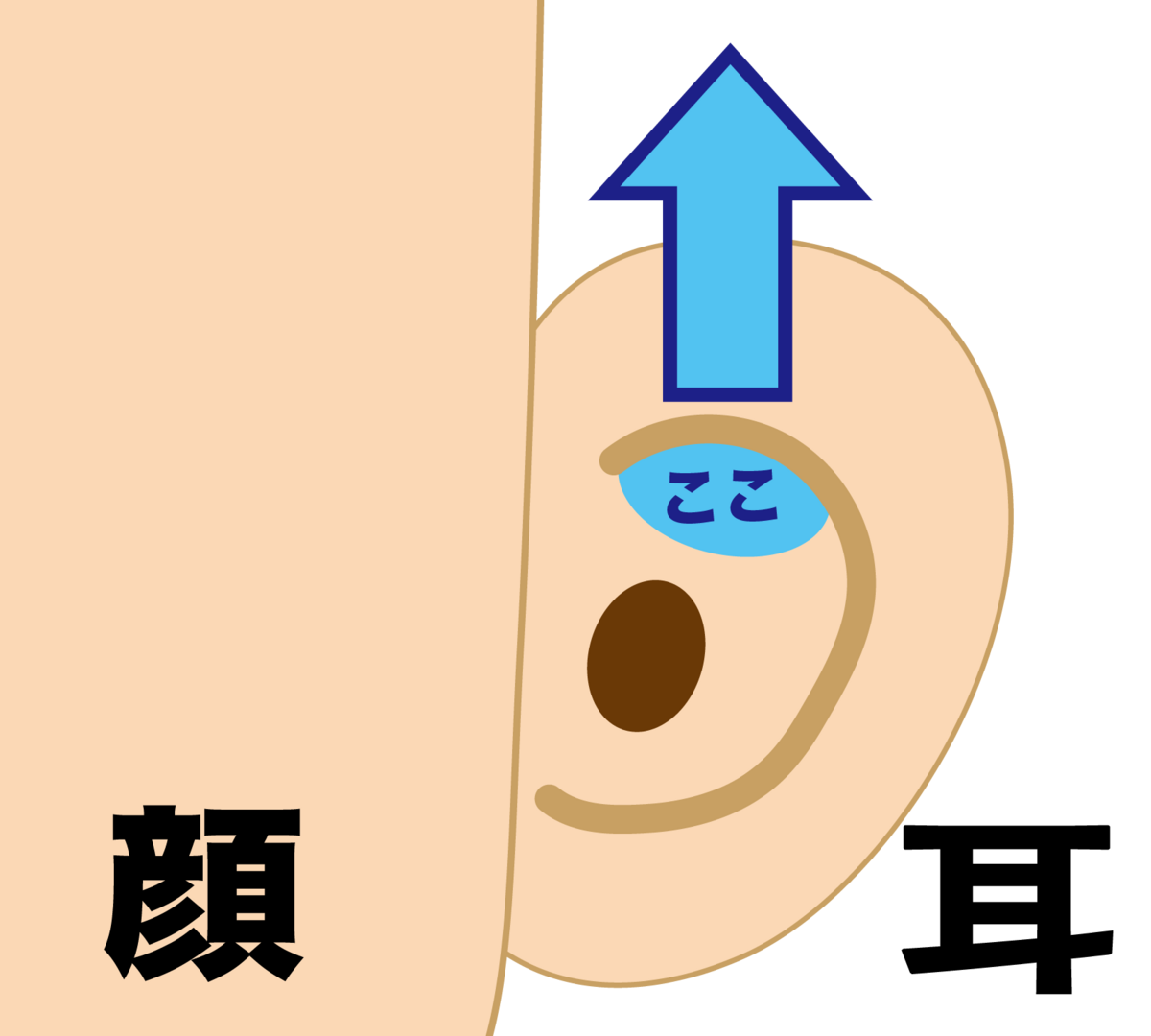 耳上