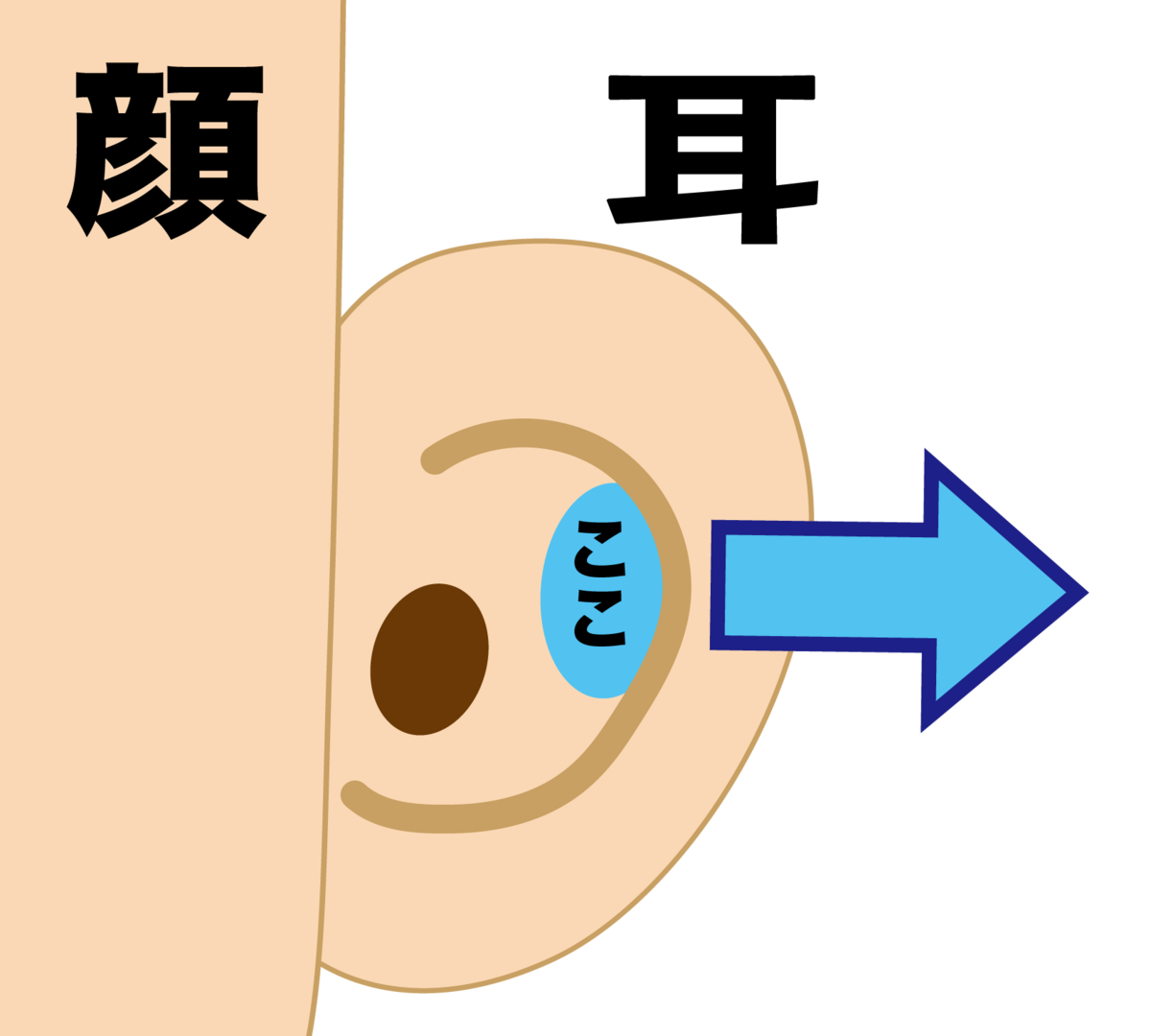 耳横
