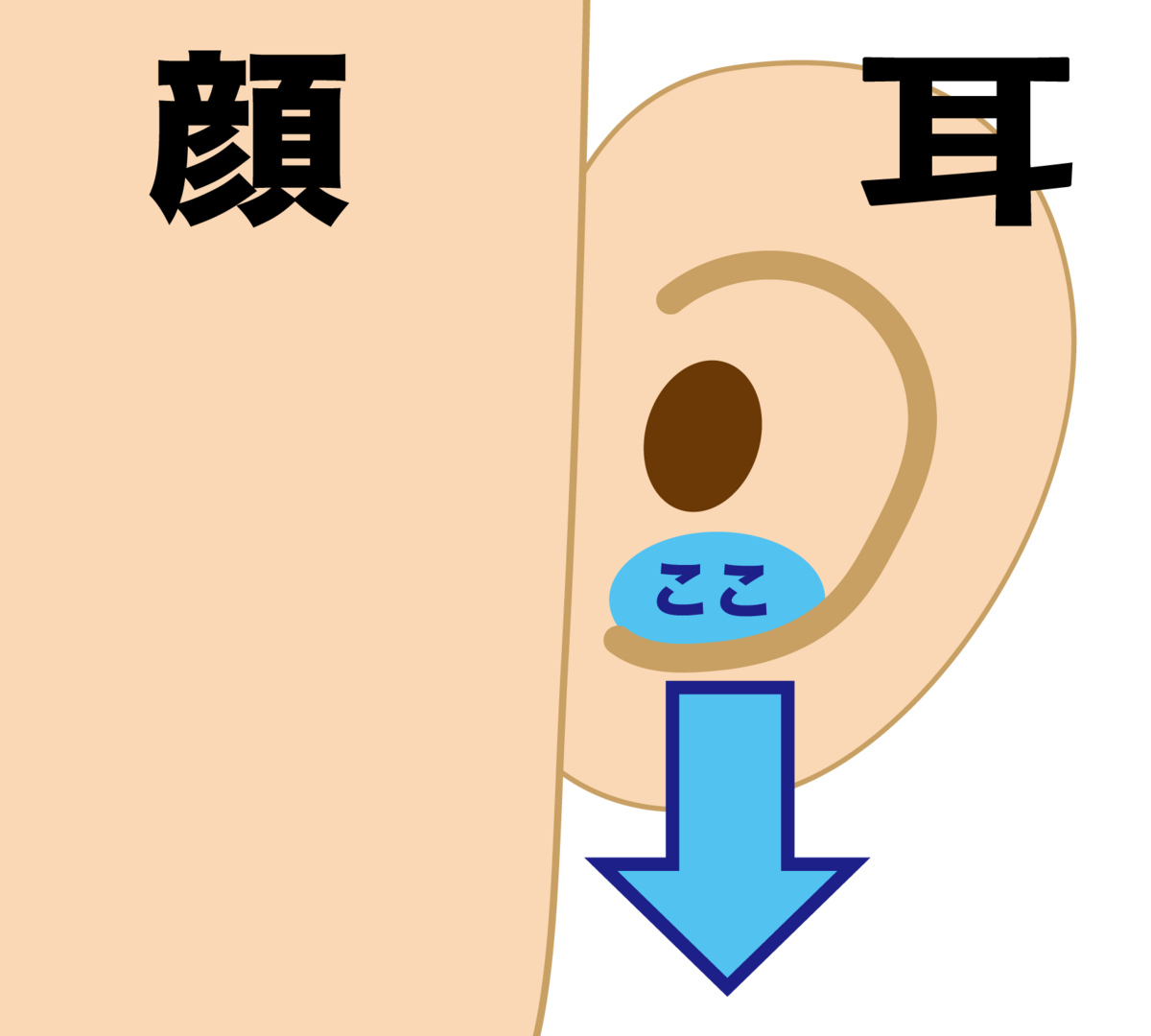 耳下