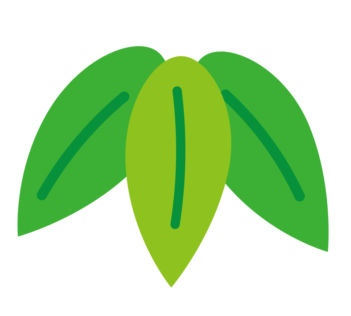 竹