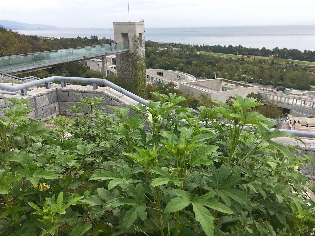 f:id:n-alps:20180928221200j:plain f:id:n-alps:20180928221200j:plain