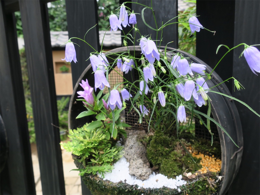 f:id:n-alps:20180928221232j:plain f:id:n-alps:20180928221232j:plain
