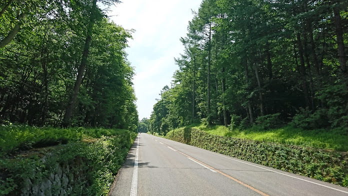 f:id:n-chama:20170625190805j:plain f:id:n-chama:20170625190805j:plain