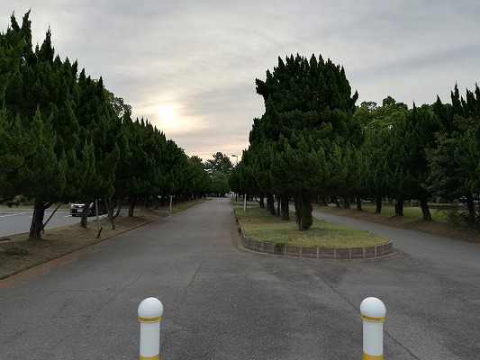 f:id:n-fumiyuki:20170914100749j:plain