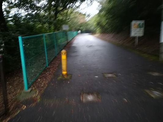 f:id:n-fumiyuki:20171014092445j:plain