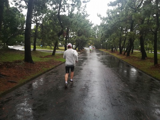 f:id:n-fumiyuki:20171021105501j:plain f:id:n-fumiyuki:20171021105501j:plain