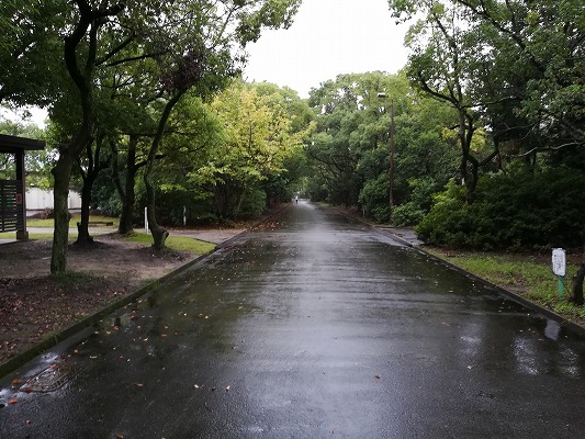 f:id:n-fumiyuki:20171021105534j:plain f:id:n-fumiyuki:20171021105534j:plain