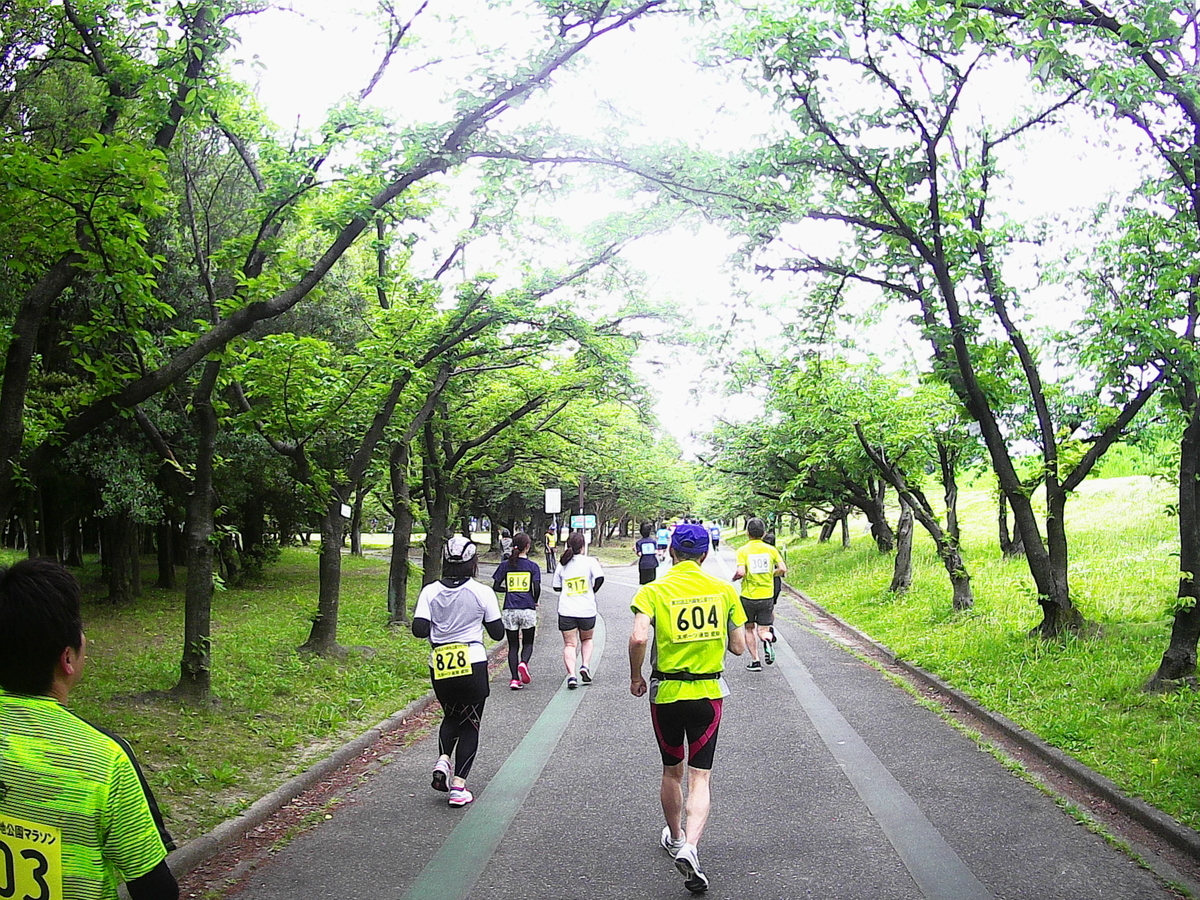 f:id:n-fumiyuki:20190520074429j:plain f:id:n-fumiyuki:20190520074429j:plain
