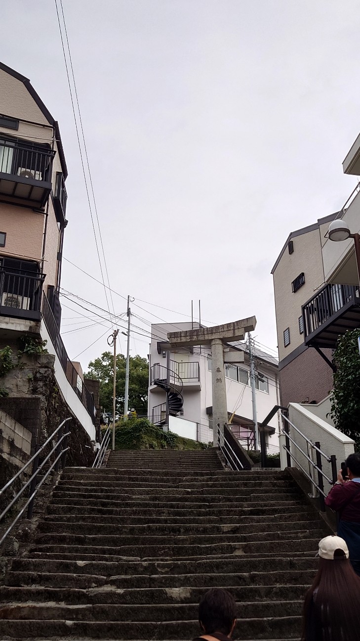 f:id:n-hayataro:20251208210541j:image f:id:n-hayataro:20251208210541j:image